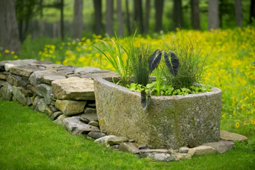 Antique stone trough water garden