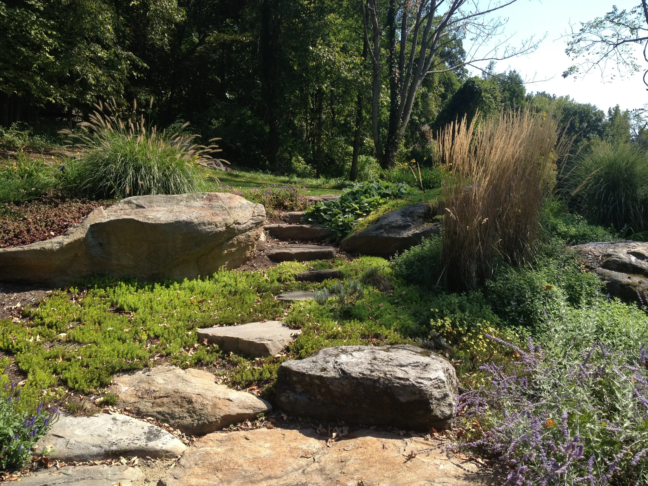 Rustic Garden Path