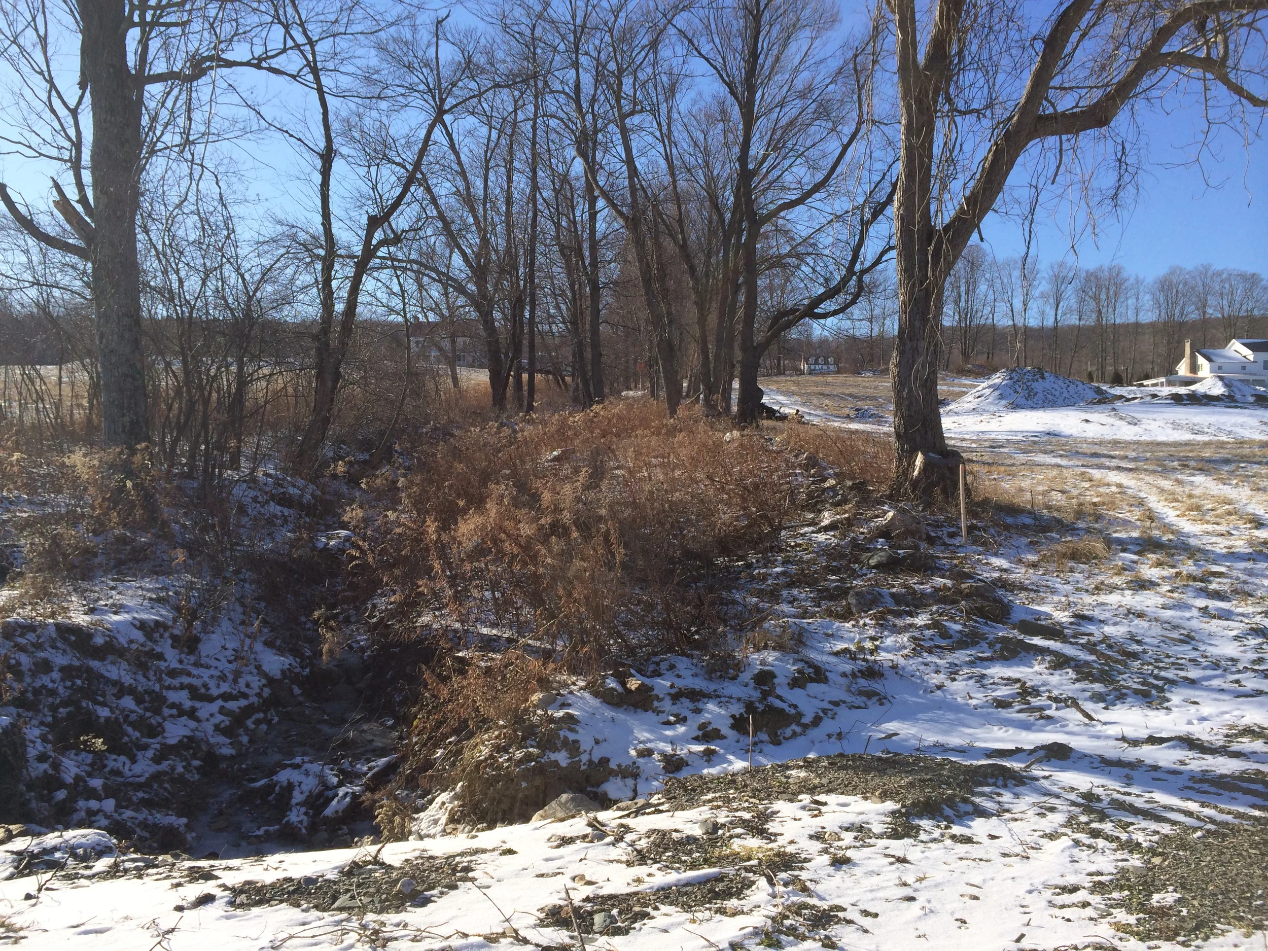 Before photo of stream 