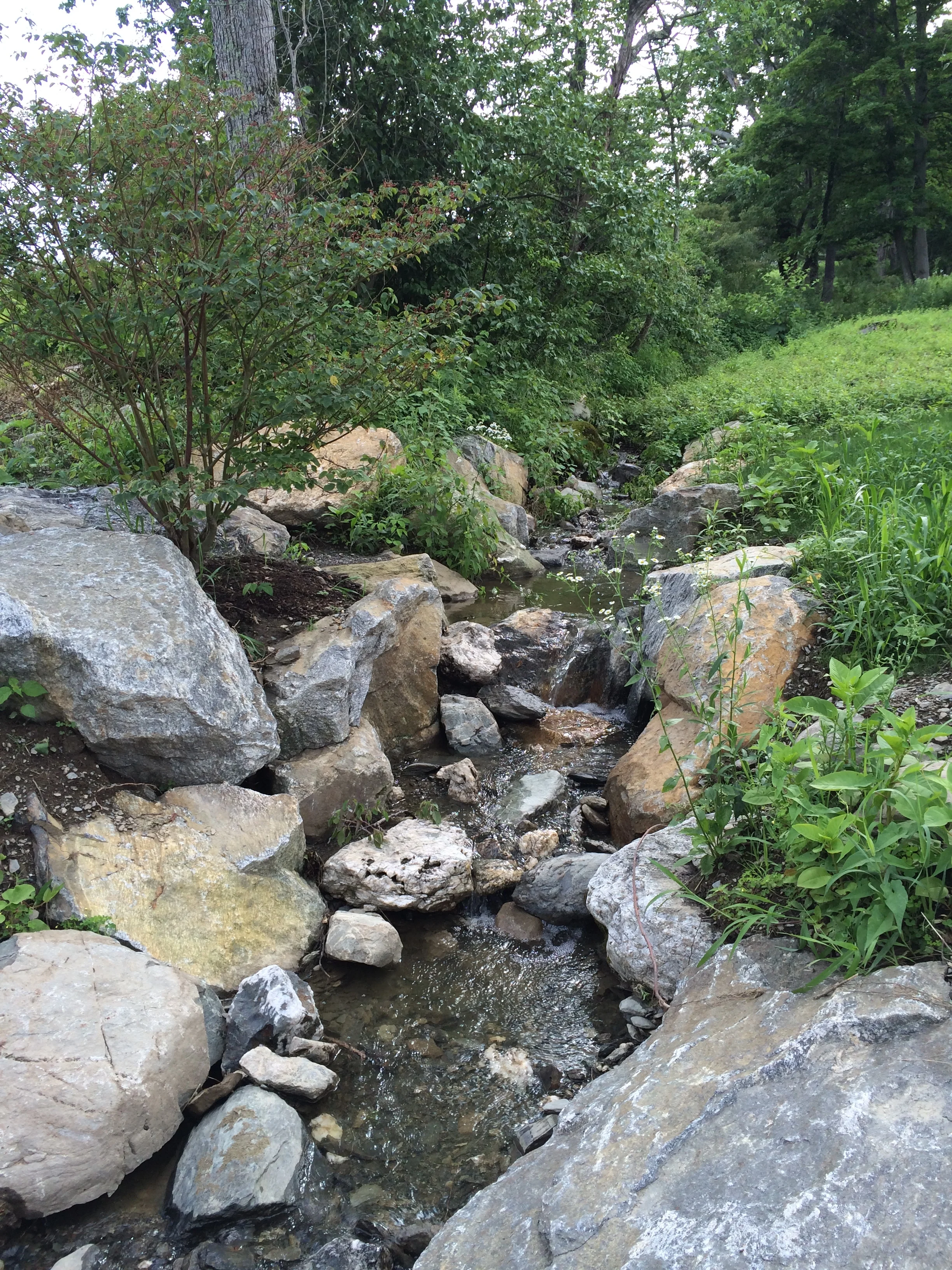 After photo of stream bed