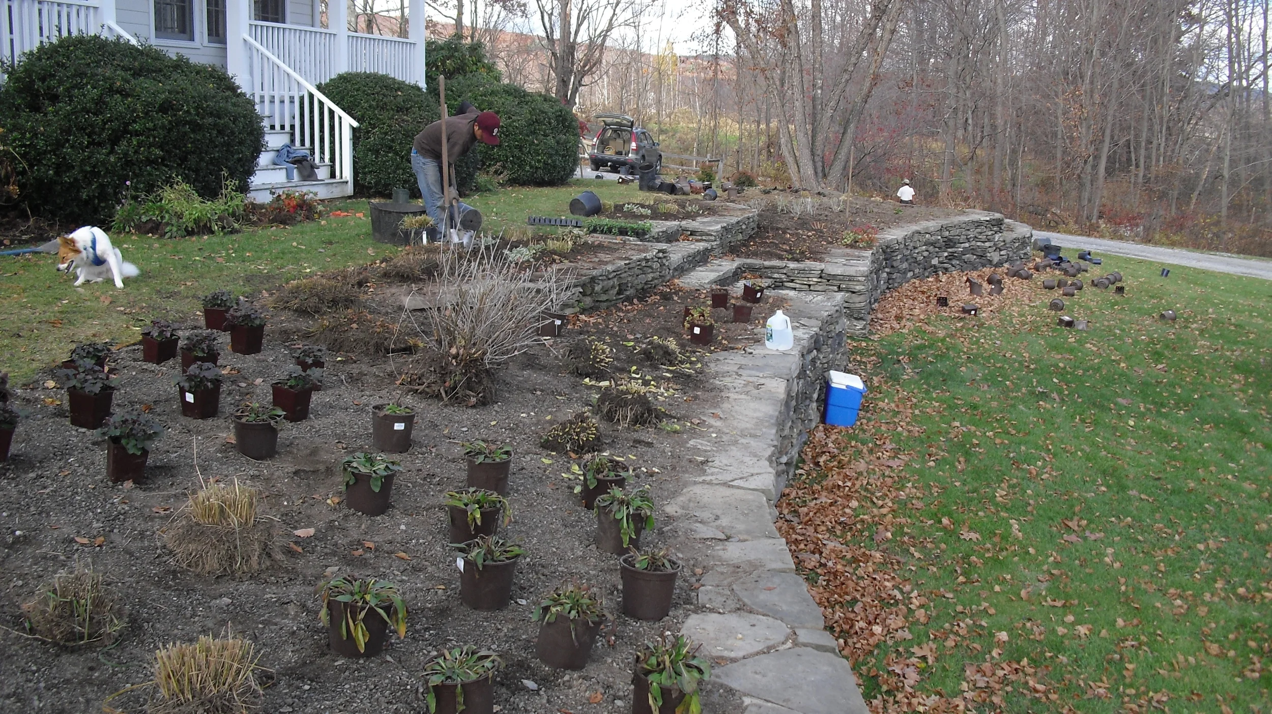 Planting the garden