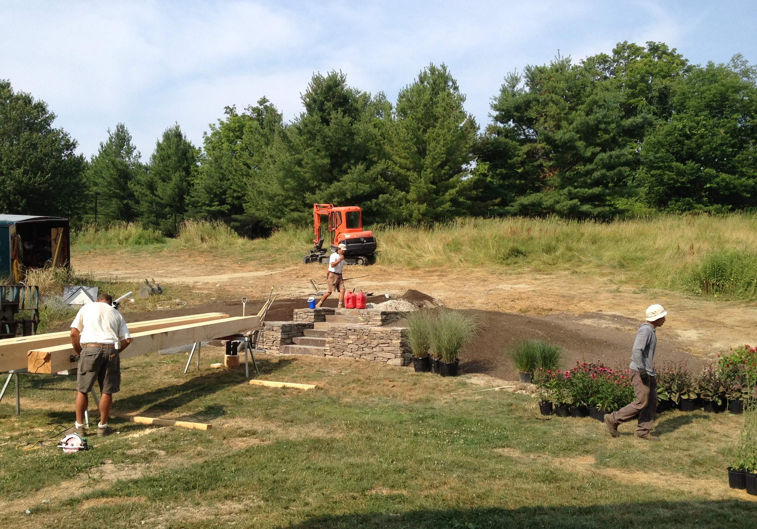 Laying out the new plants