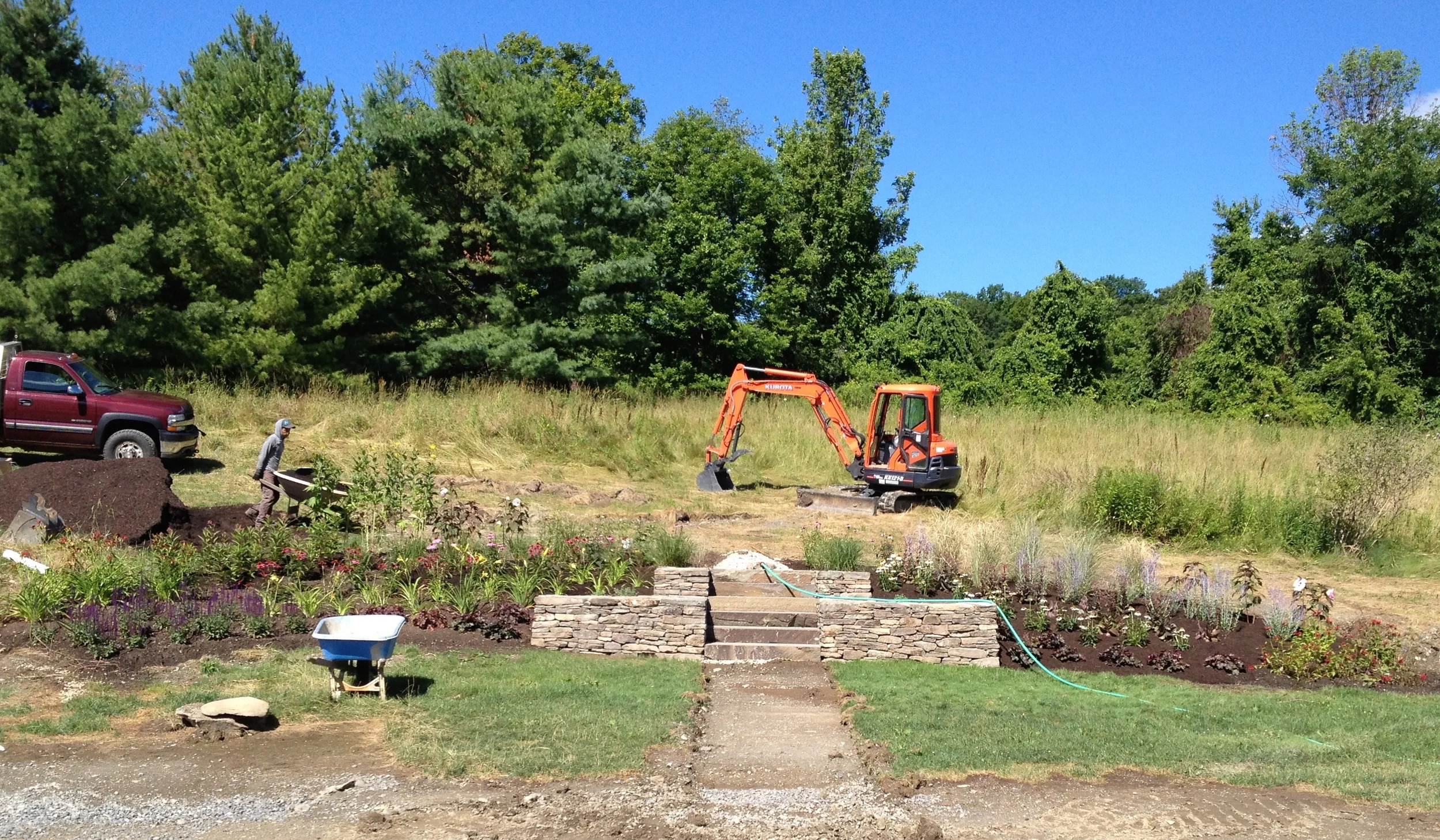 Mulching the new plants