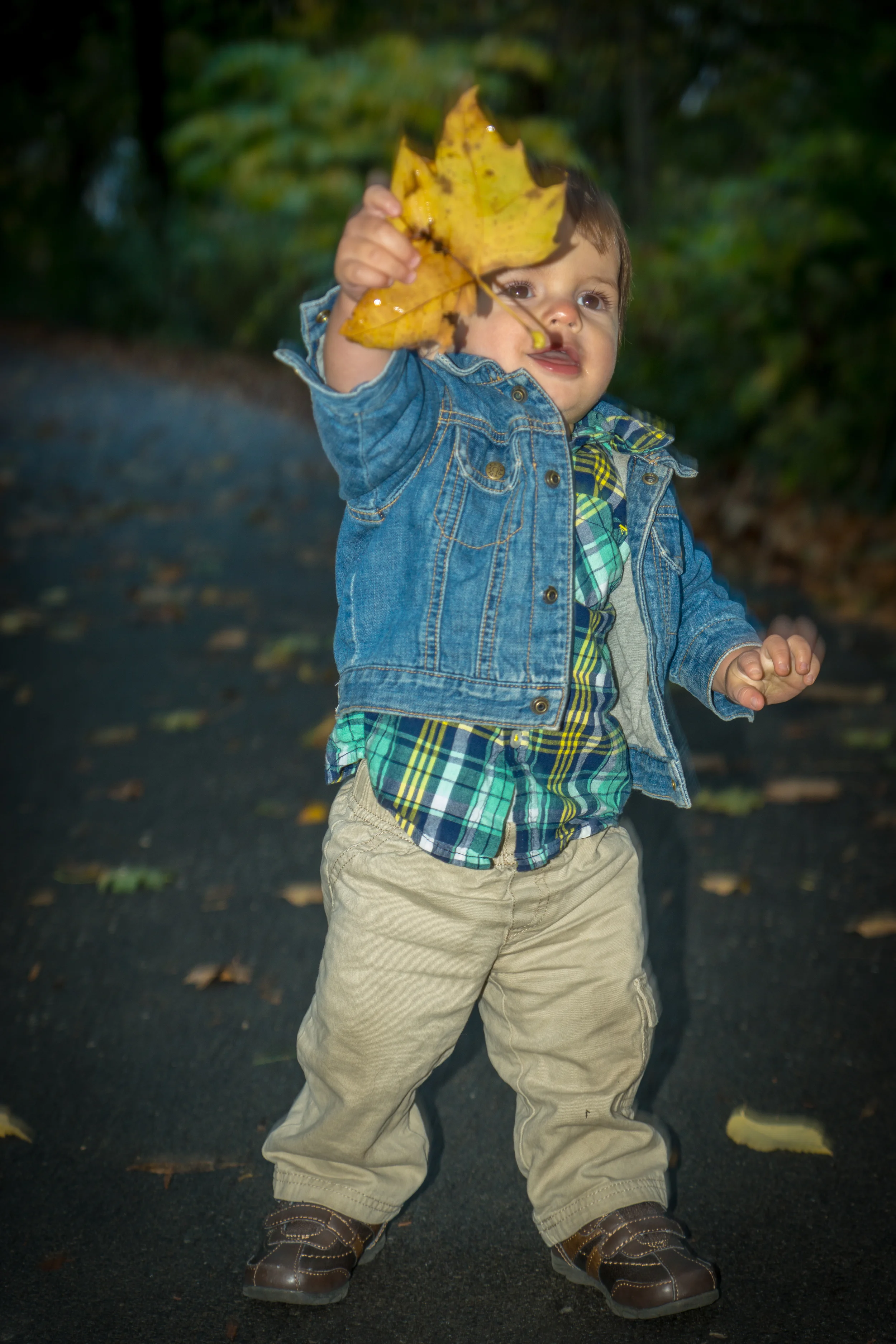 Dominic-42.jpg