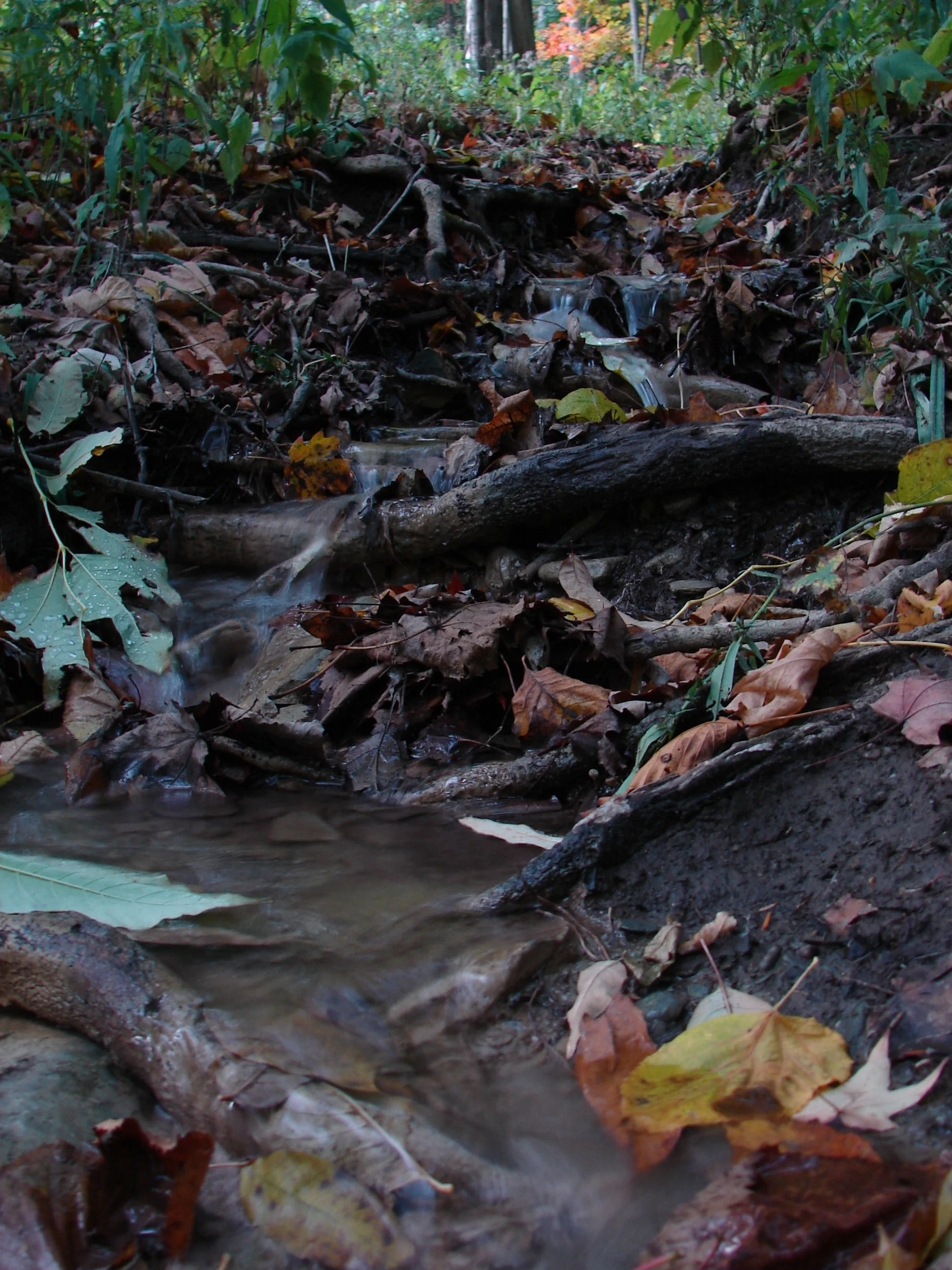 DSC02554.JPG