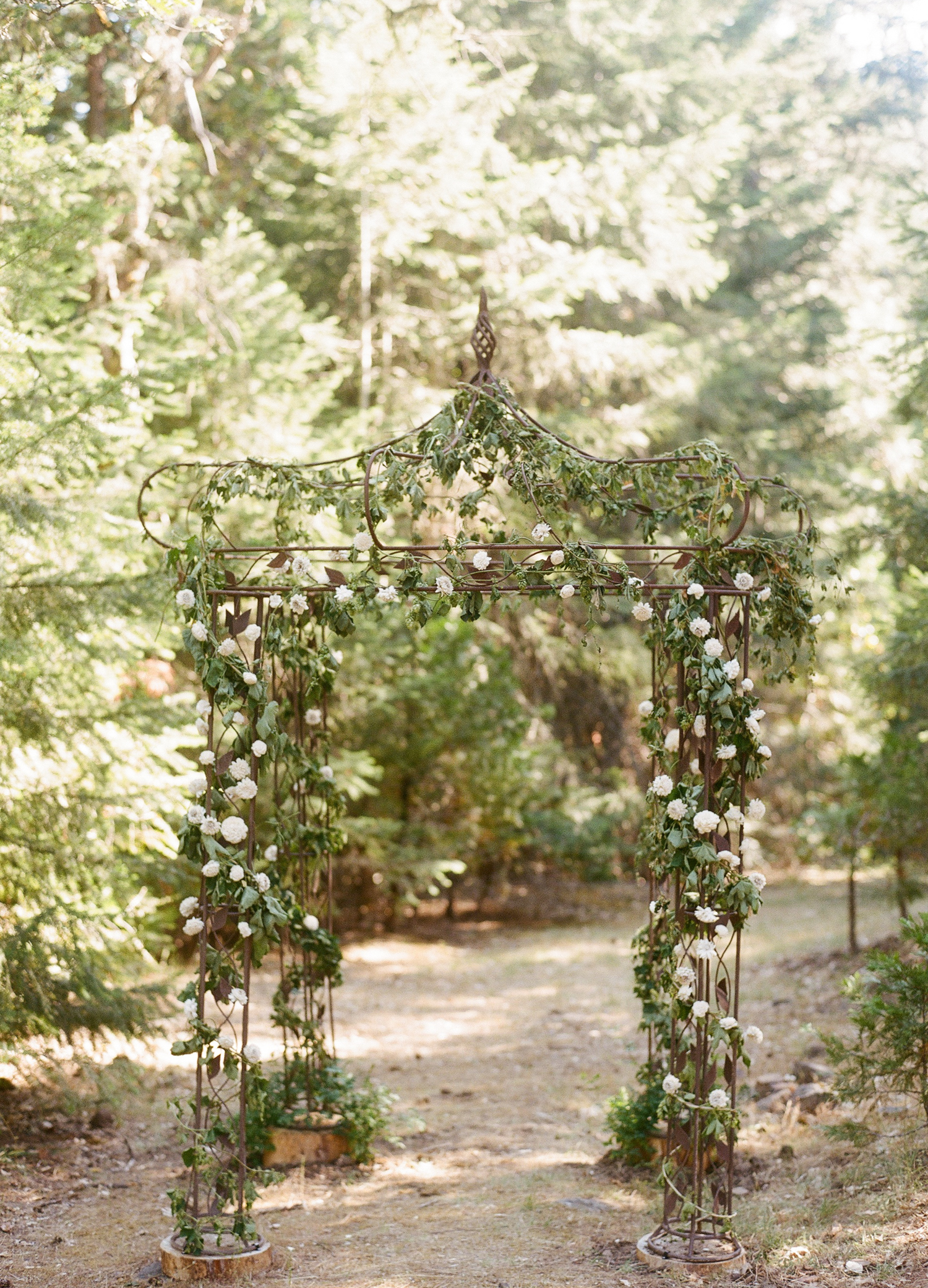 Woodsy-Outdoor-Ashland-Oregon-Wedding-4.jpg