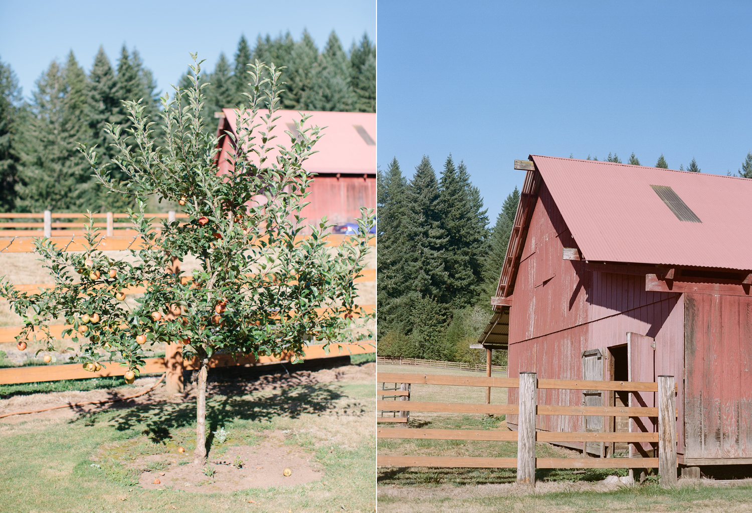 Oregon Barn Wedding by Michelle Cross-1a.jpg