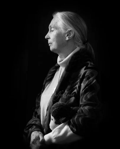Photography by Karen Pulfer Focht ©