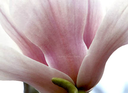Photography by Karen Pulfer Focht ©