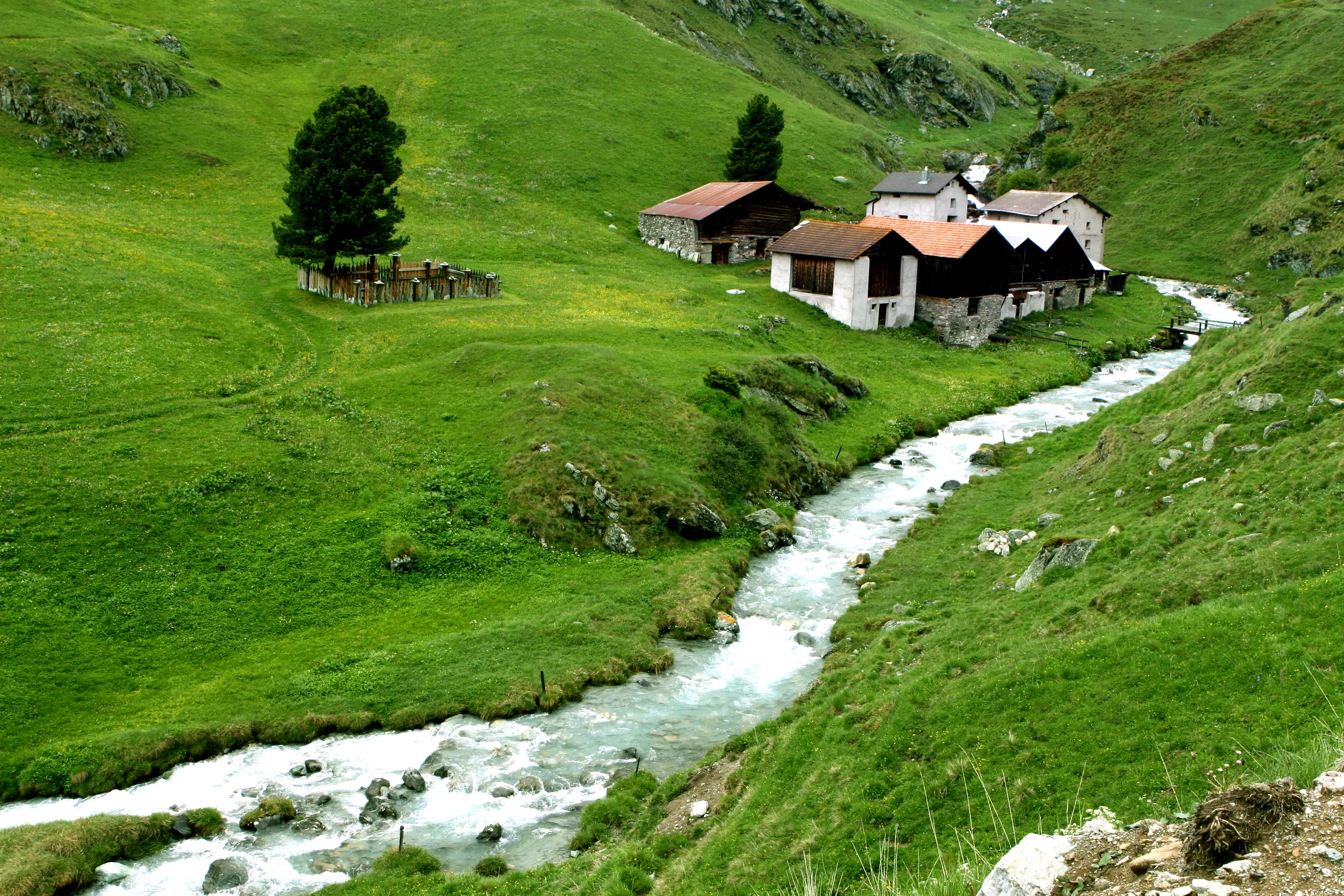 Swiss Alps.JPG