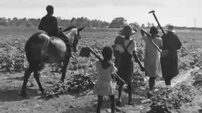 A- What is the Blues?