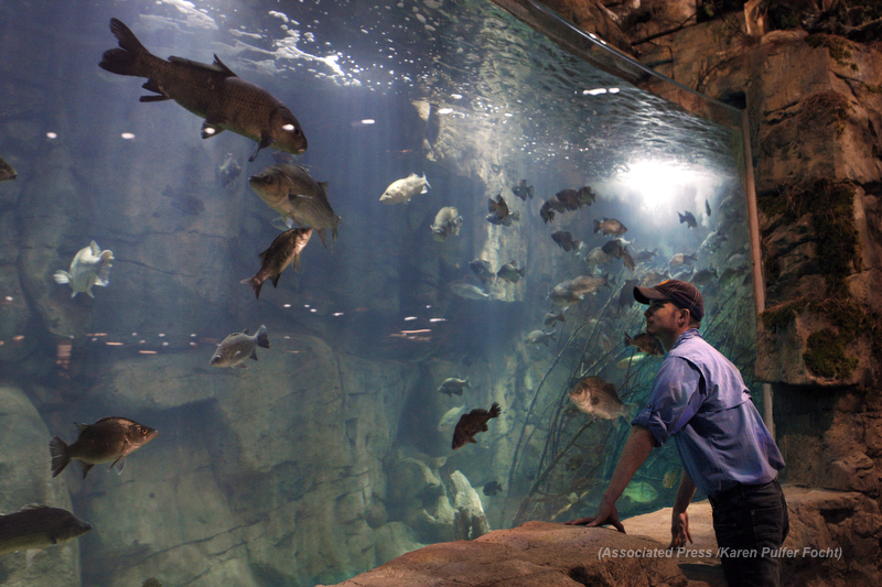 Bass Pro Shop Opens In Memphis Pyramid — KAREN PULFER FOCHT -Photojournalist