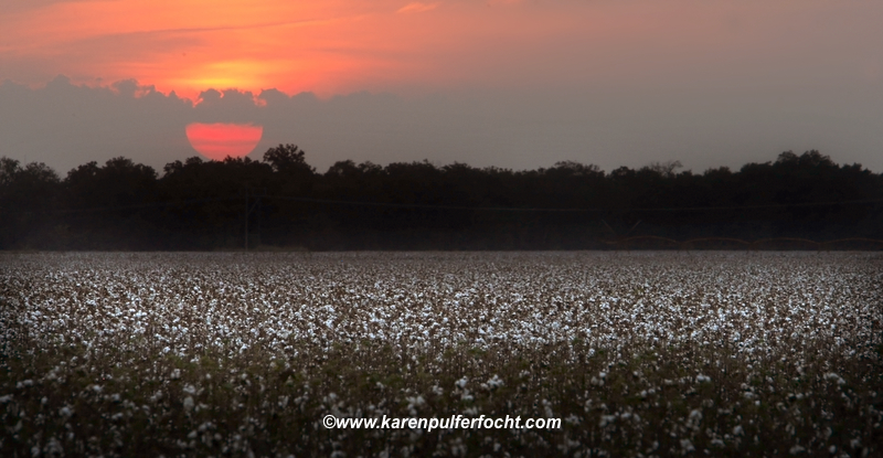 Sunset over Dixie.JPG