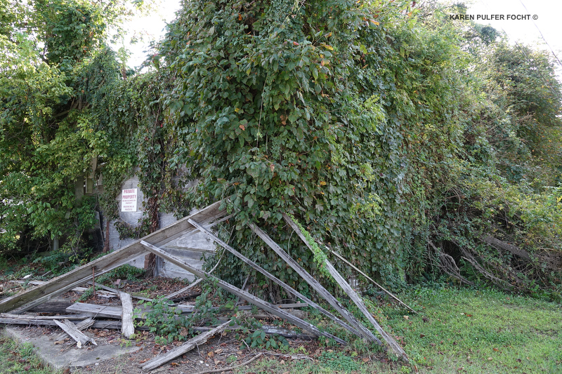 Emmett Louis TIll ©Focht- 517.JPG