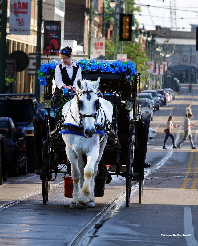 Memphis Scenes ©Focht.JPG