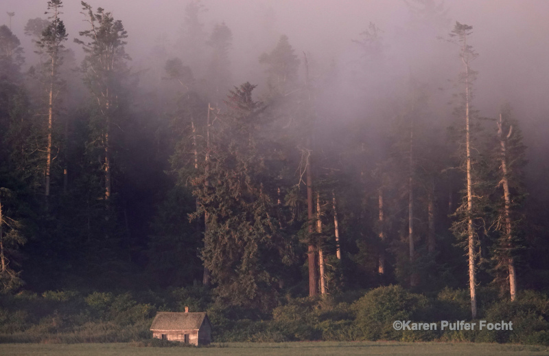 07202019 Whidbey Island ©361a.JPG