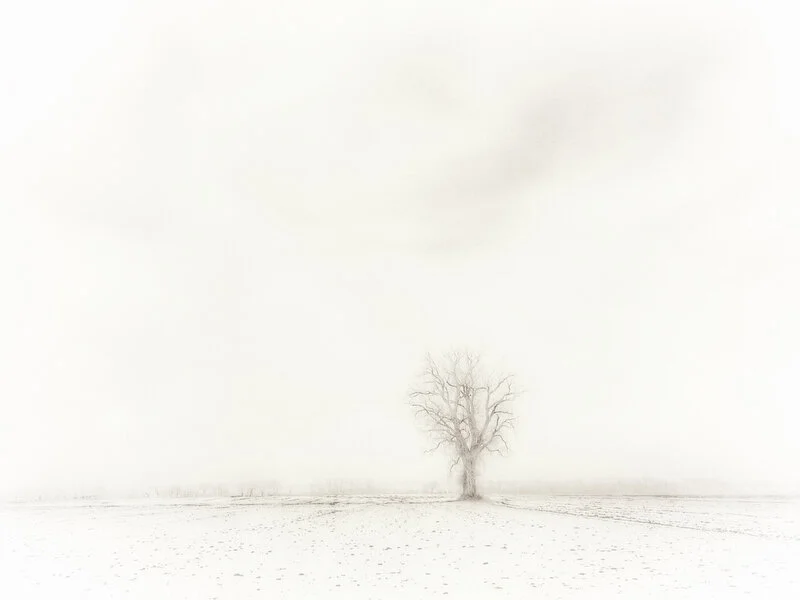 Bleak Midwinter 2A.JPG