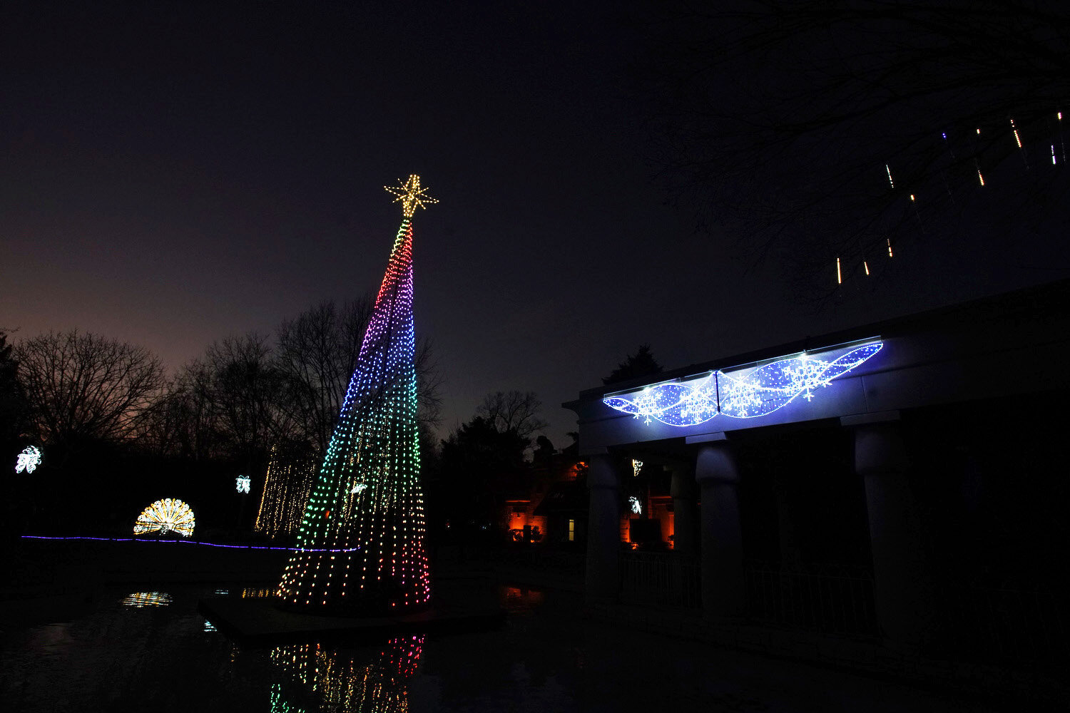 Zoo Lights TNLO©Focht 003.JPG