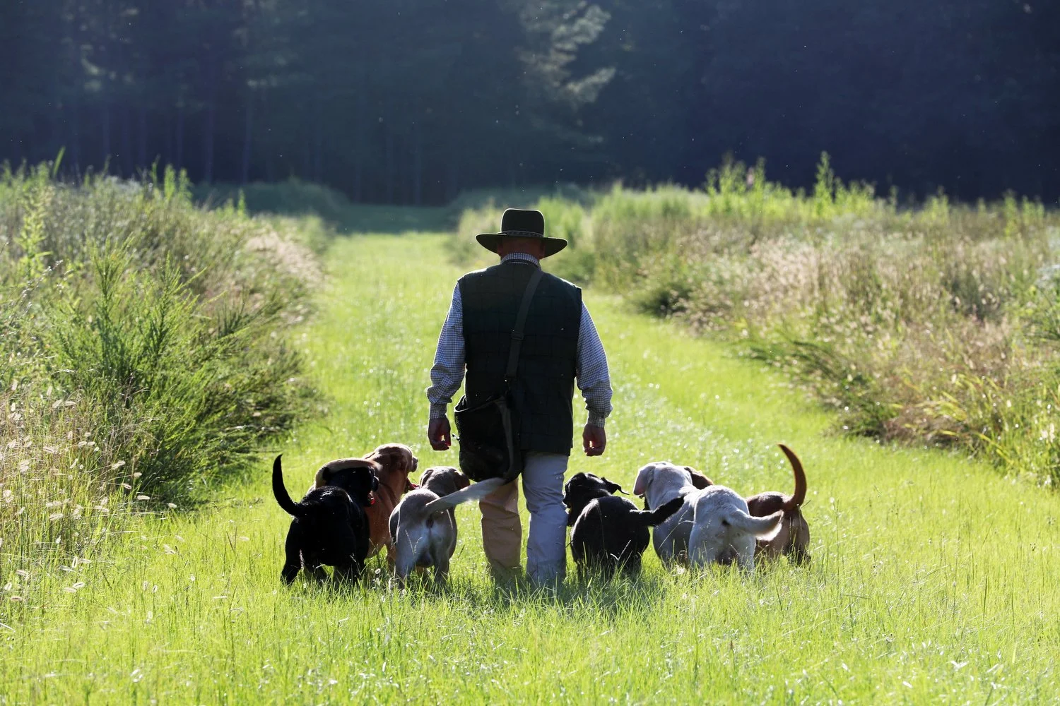 09022021 Wildrose Kennels ©Focht JPG077.JPG