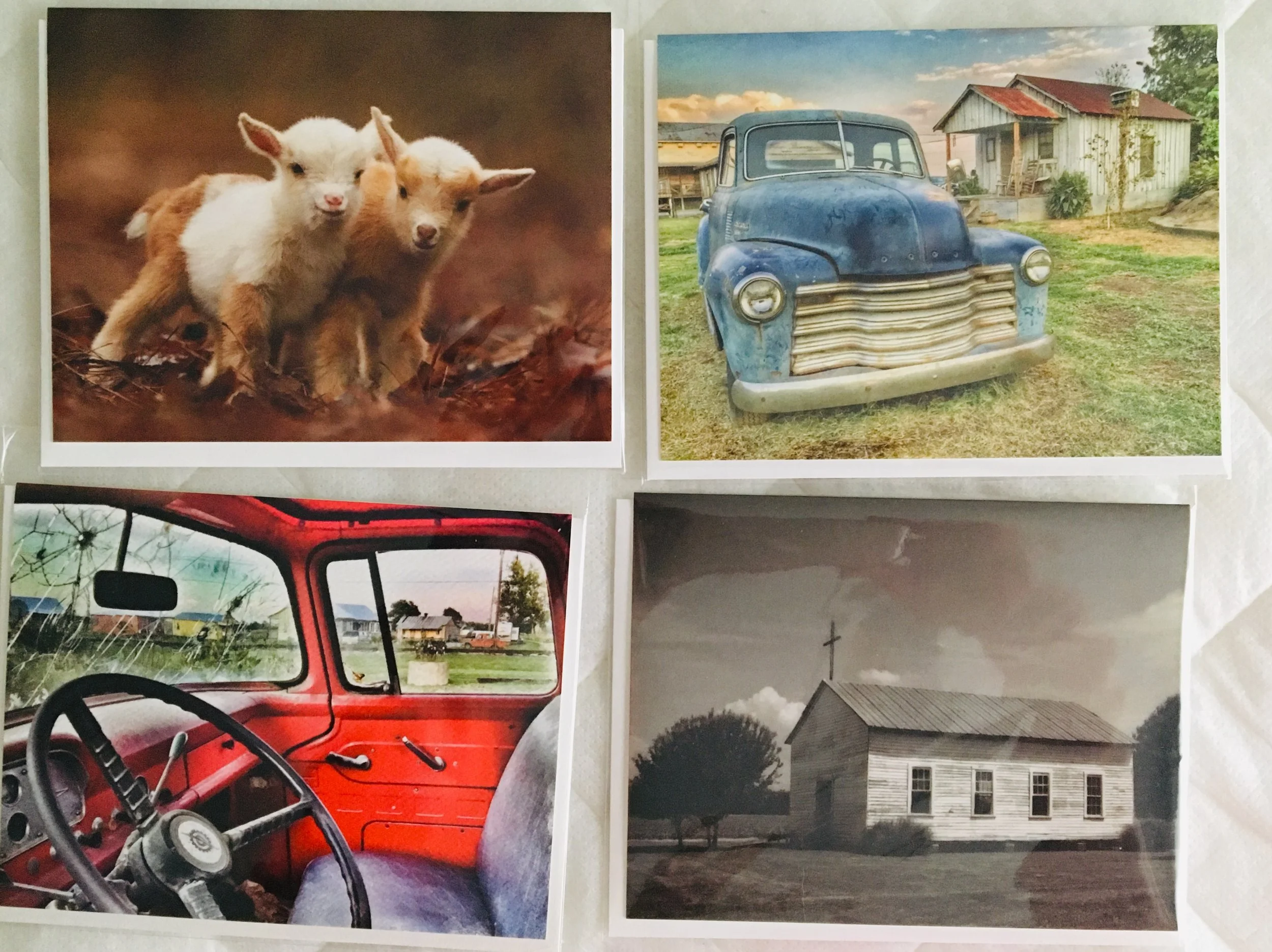 NOTE CARD SAMPLE  ©Focht  208.JPG