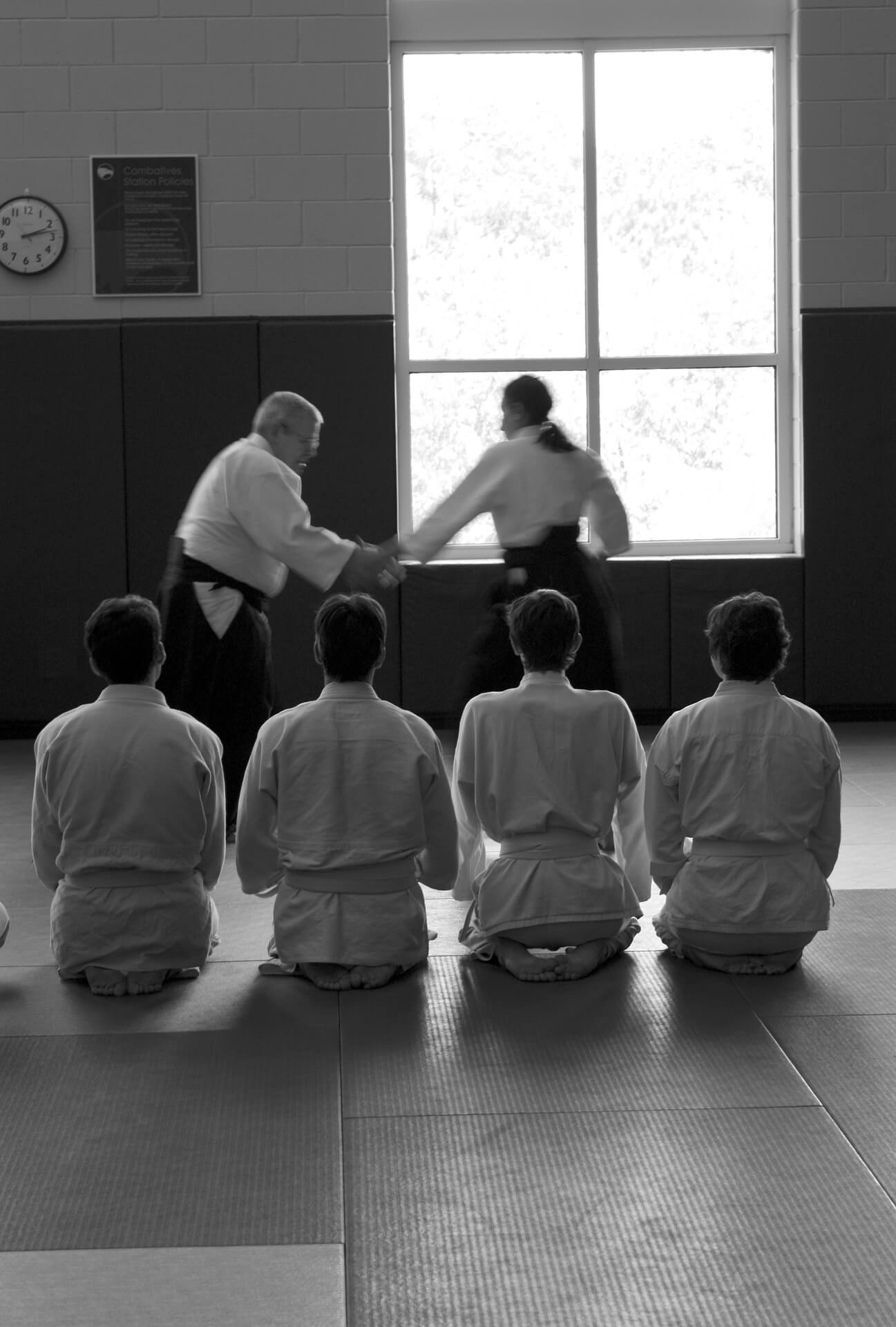 aikido-362957_1920.jpg