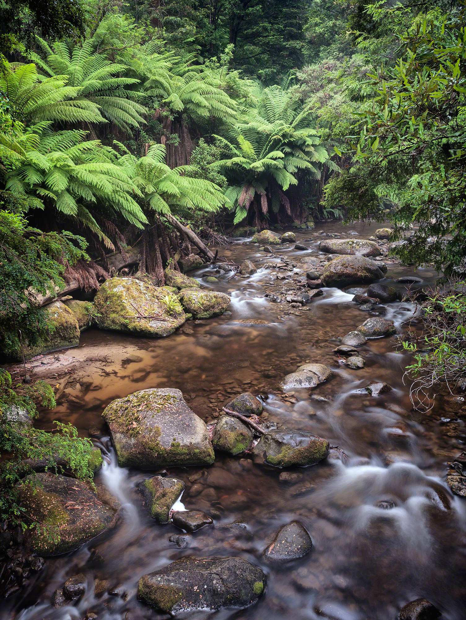 Timeless Stream