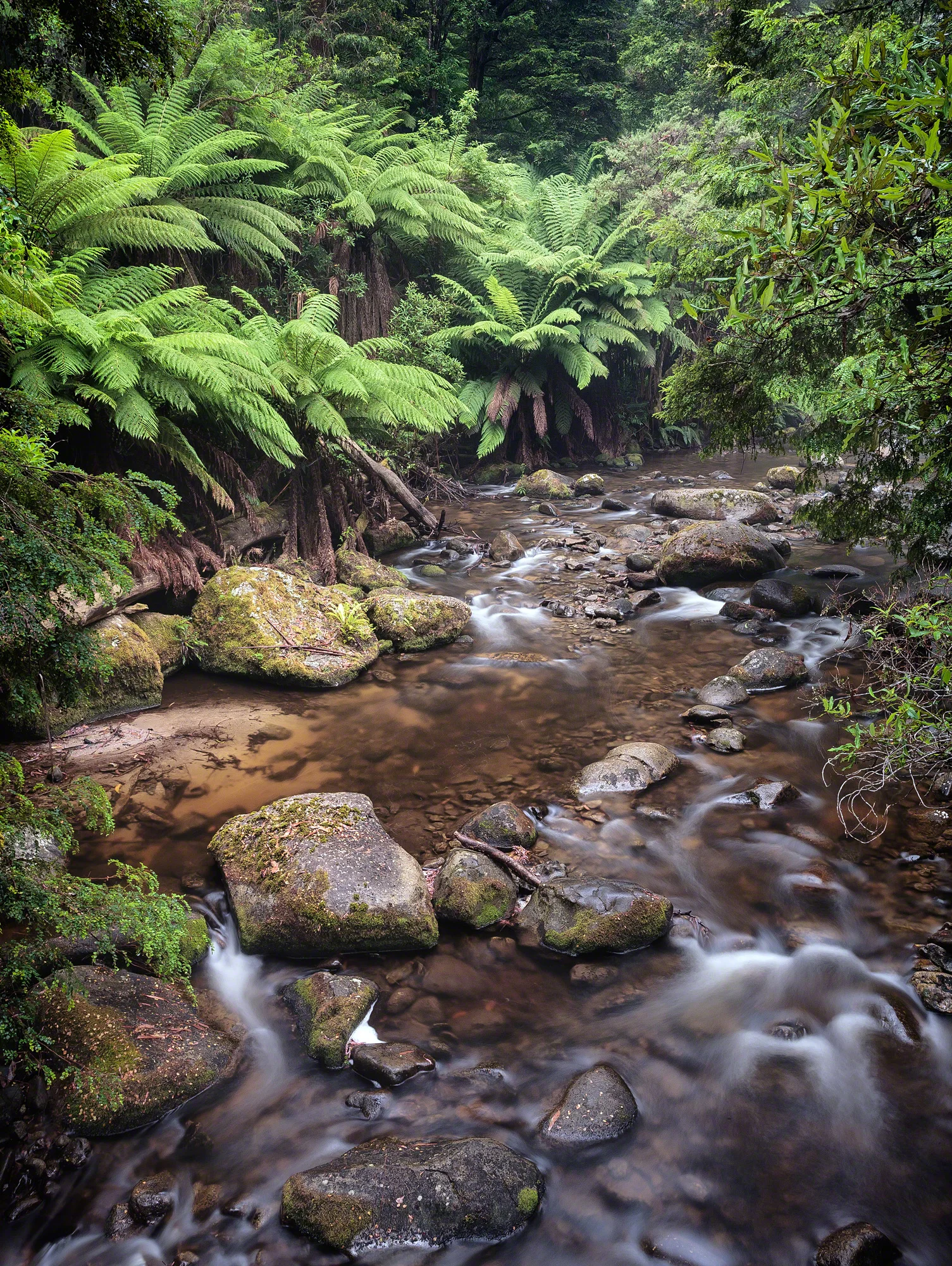 Timeless Stream