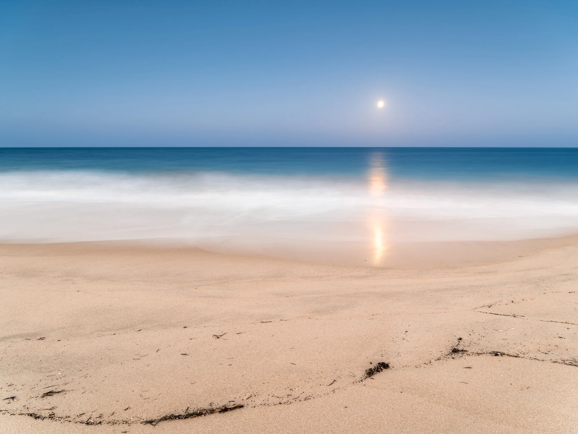Moonbeam