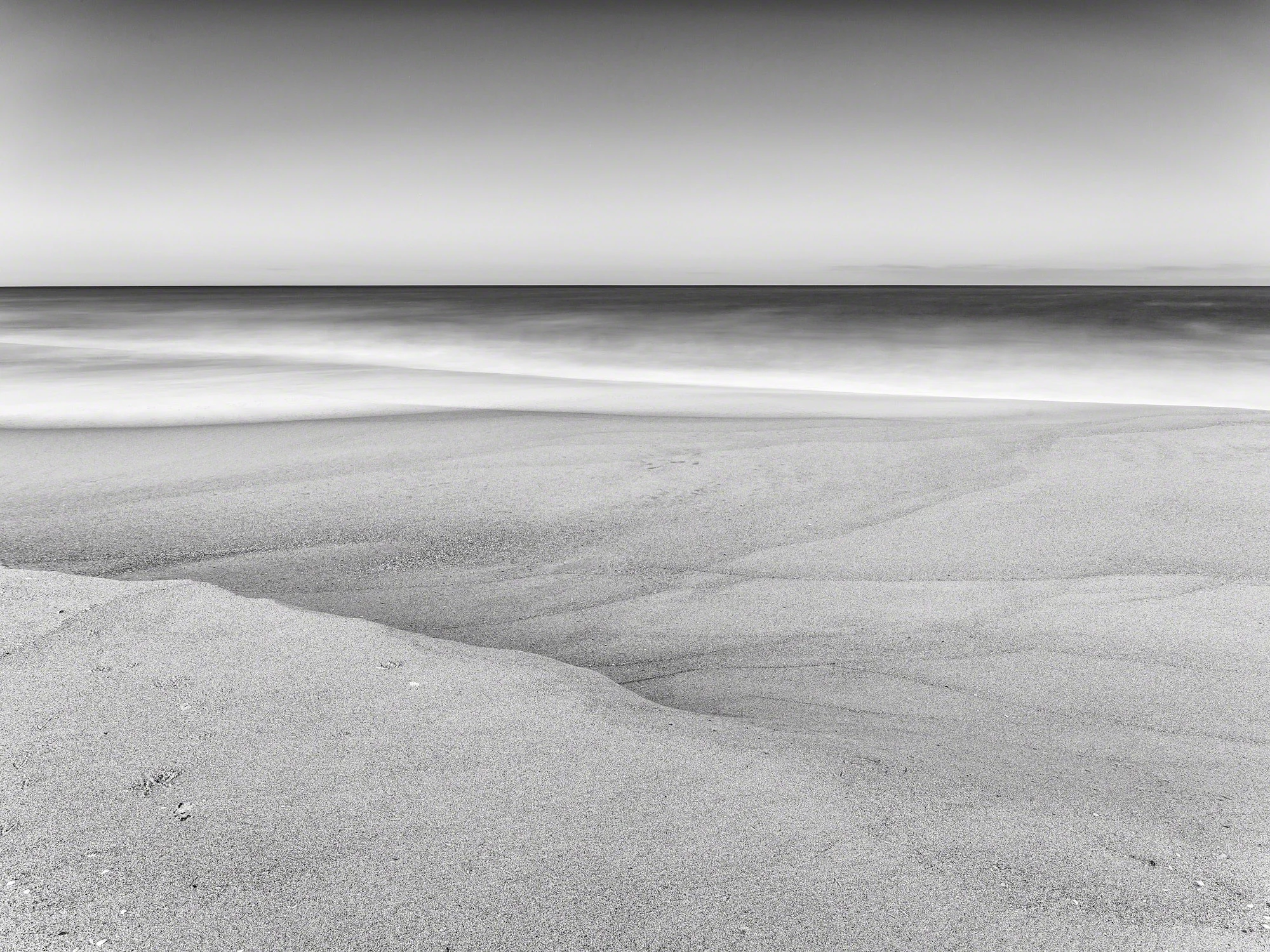 Monochrome Dream