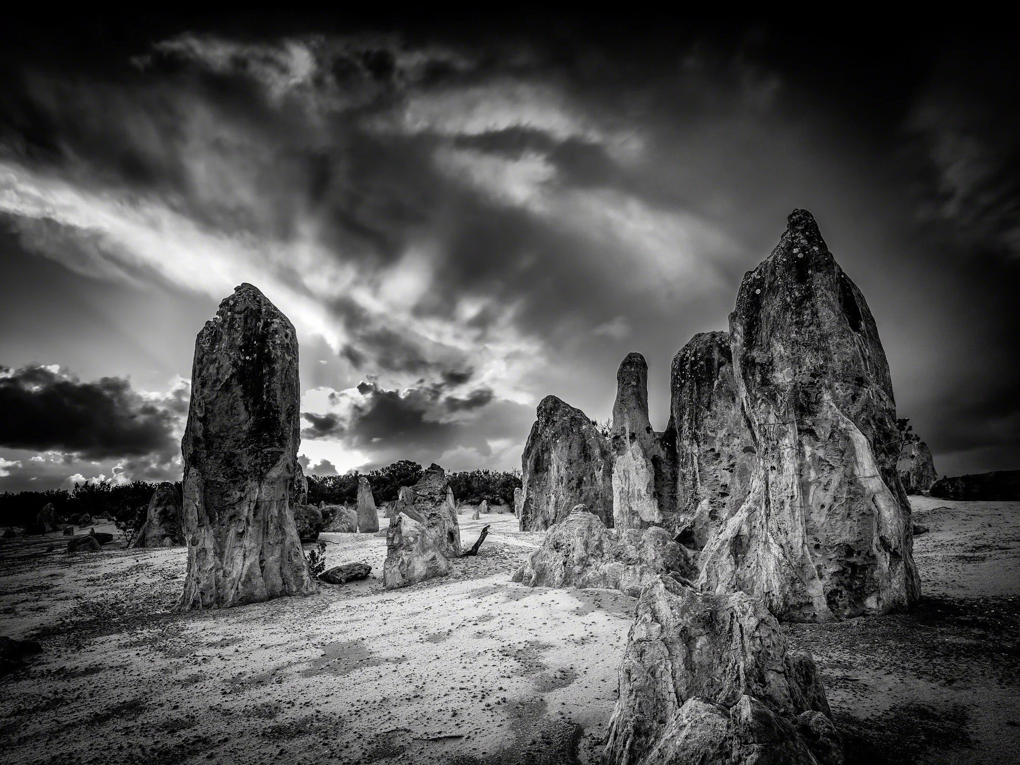 The Horns (Mono)