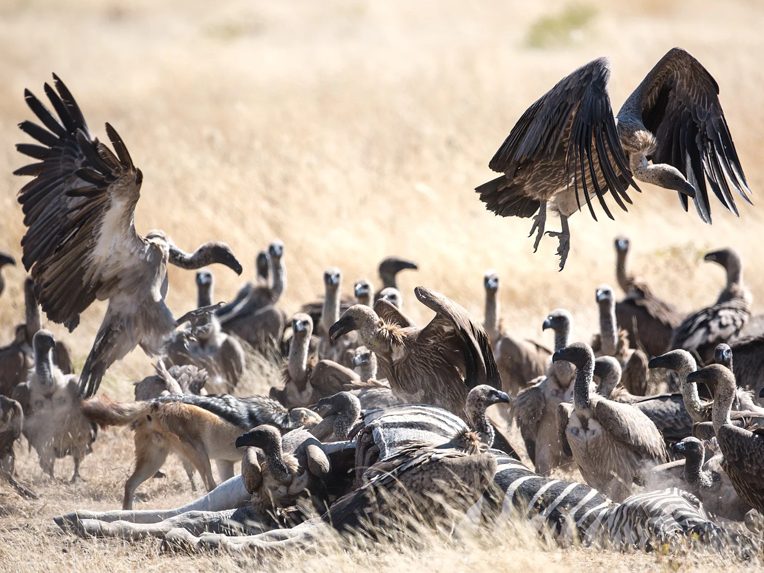 A busy scene that still has some form and symmetry.