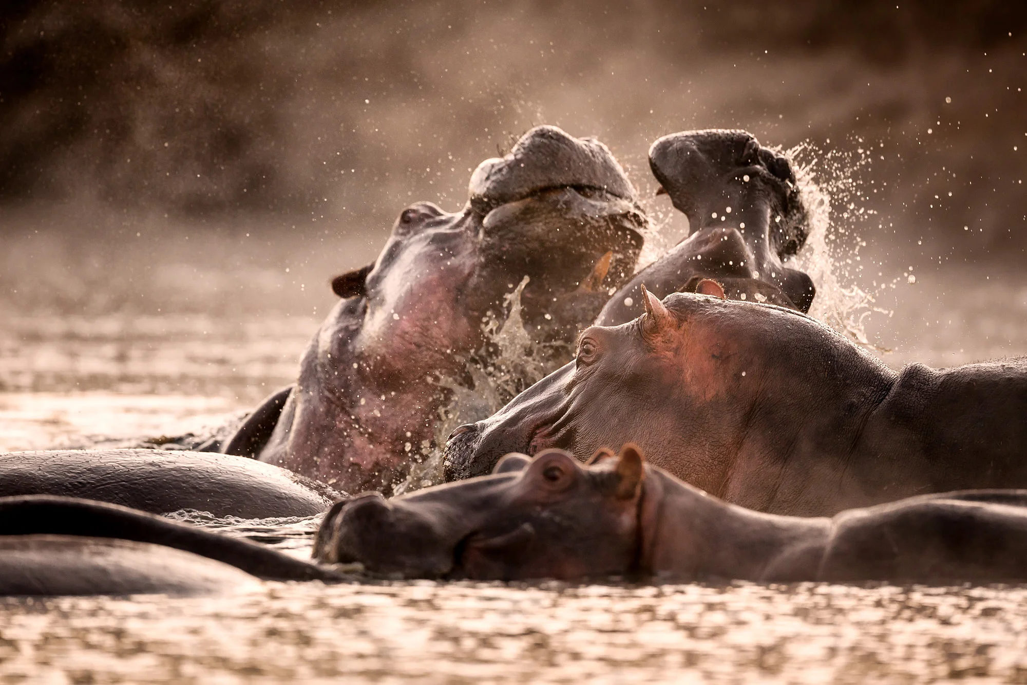 Taking this image while squatting on the shore line gives a dramatic, low angle.