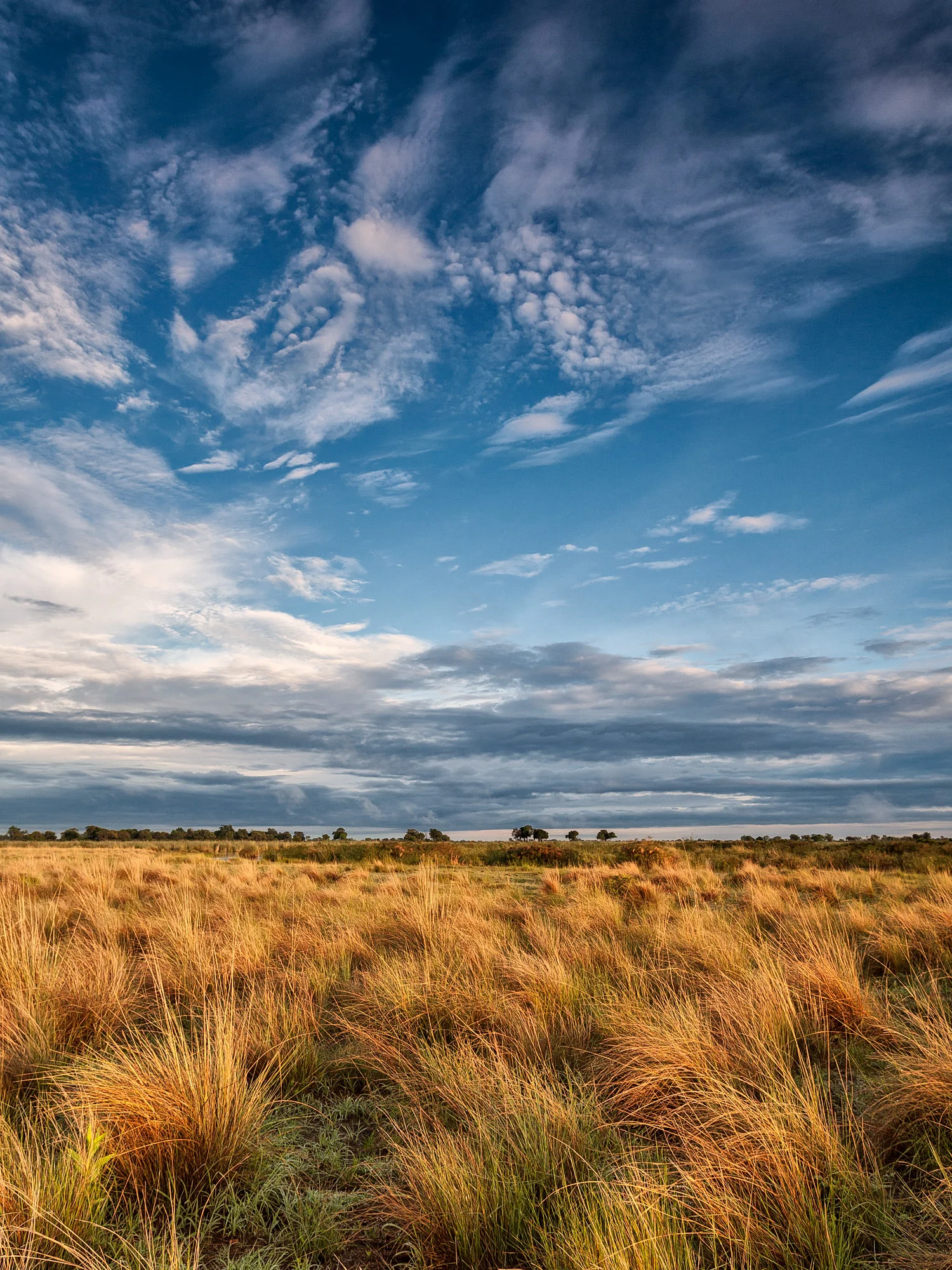 Morning light over Botswana.