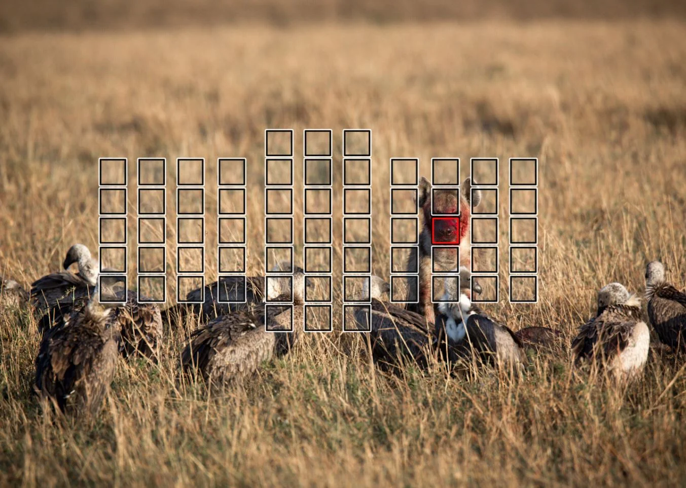 Spot focus placed on the most important part of the image.