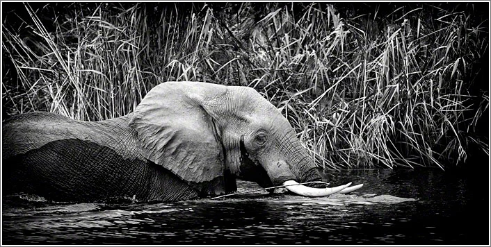 Expecting The Unexpected