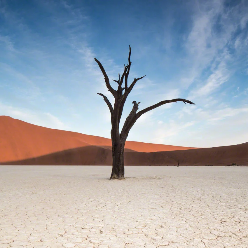 Deadvlei: A Namibian Icon