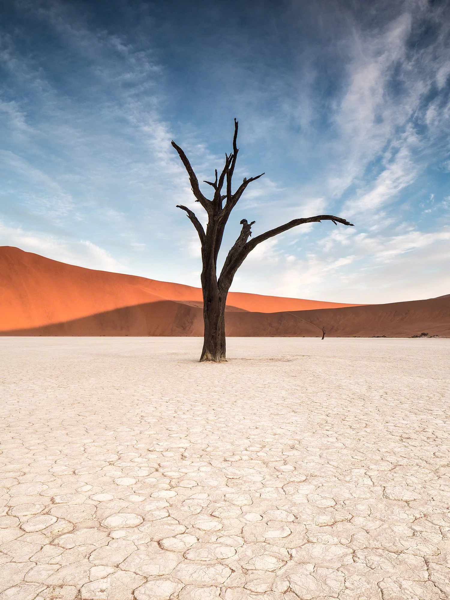 Deadvlei - Canon 5D Mark III, TS-E24mm, f16, 1/6 sec, ISO 100
