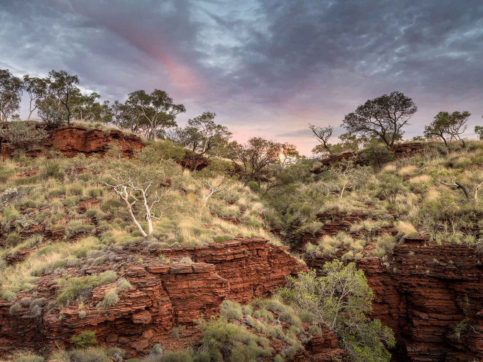 Raw development in Lightroom, finished in Photoshop with Nik Viveza