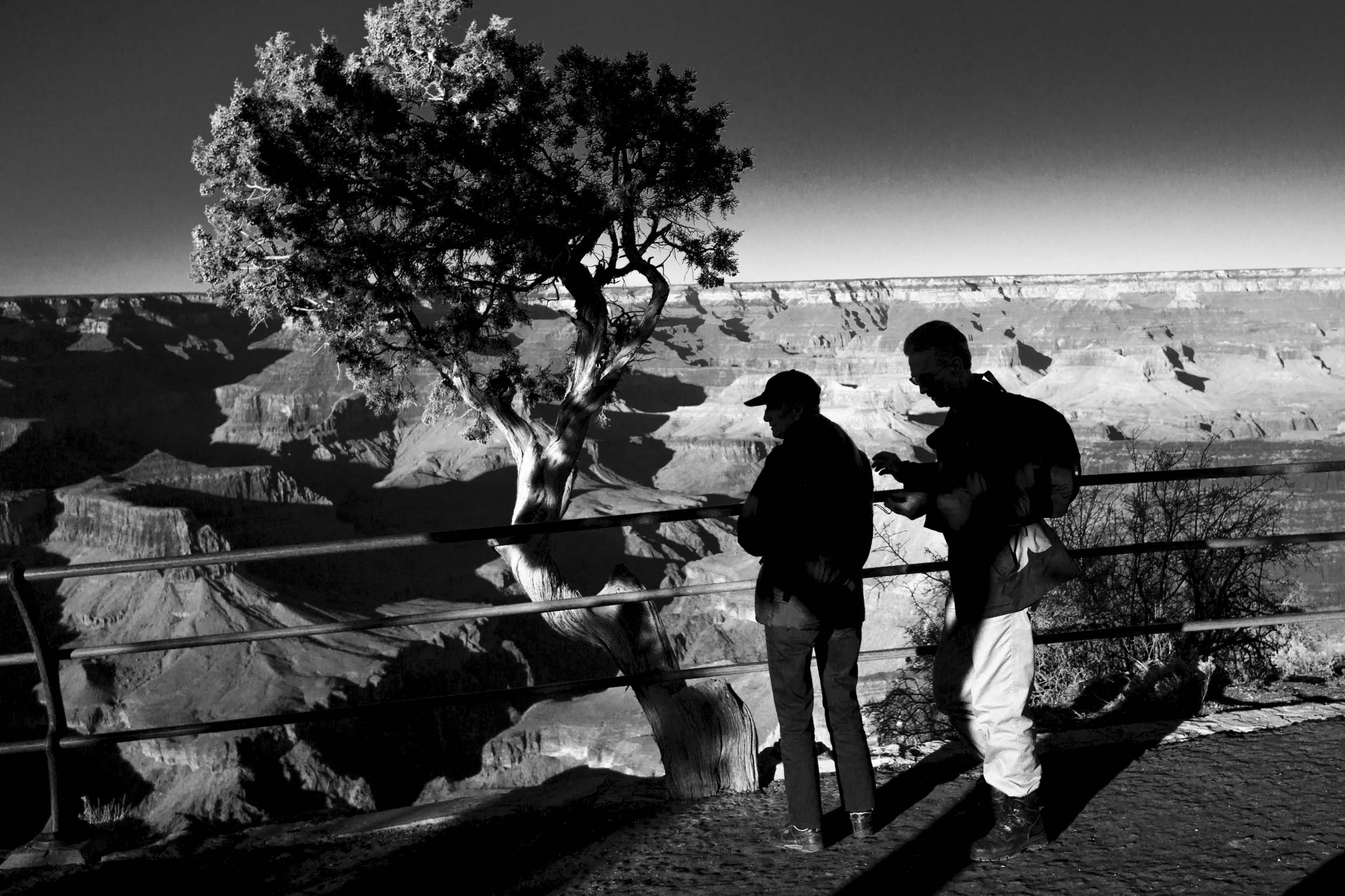 L1002588.jpg