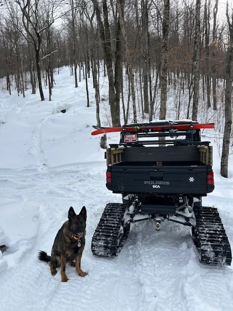 snocat.jpeg