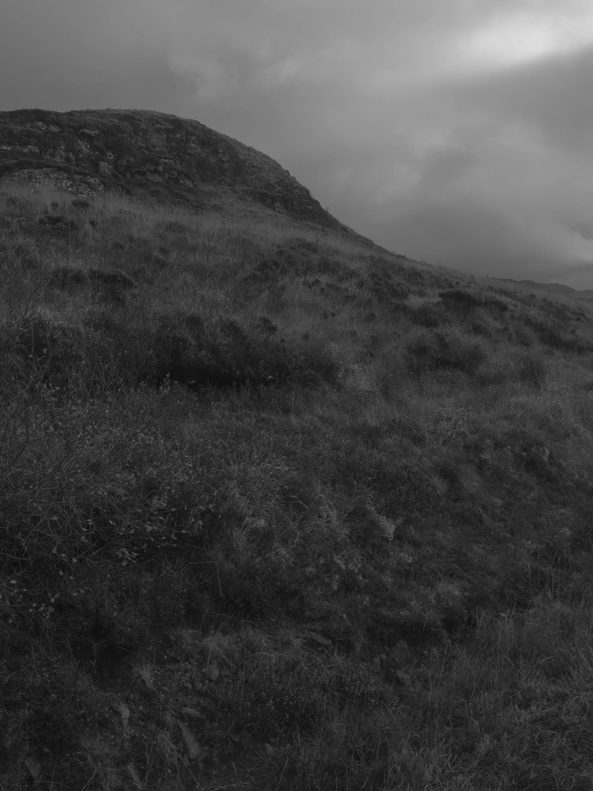 Paul Walsh - Knoydart Triptychs-1.jpg