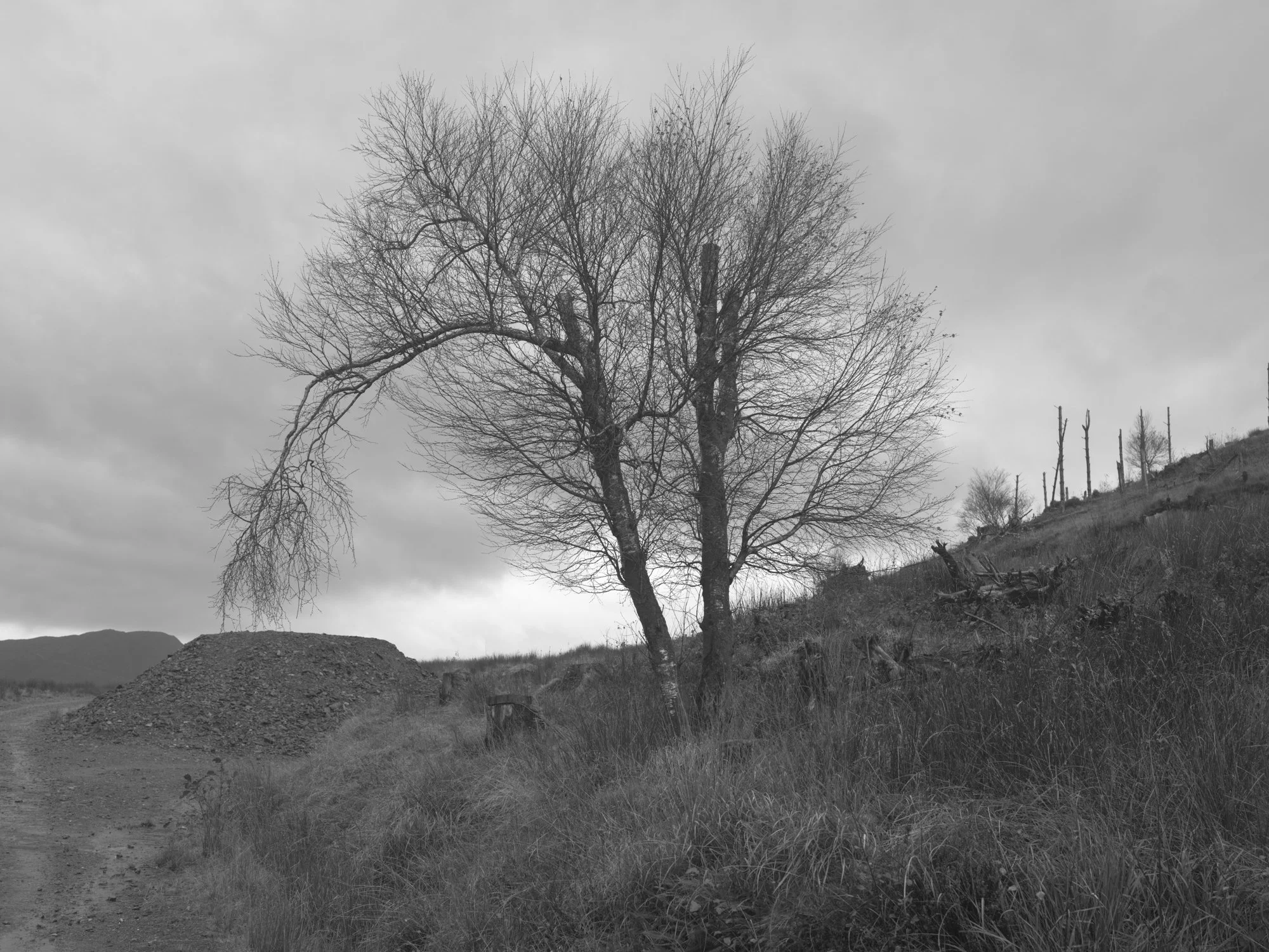 Paul Walsh - Knoydart Somewhere Nowhere-9.jpg