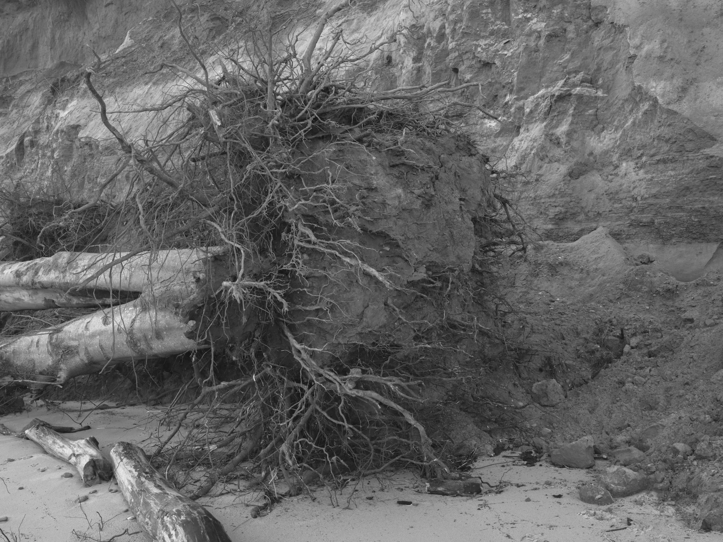 Paul Walsh - A Point in Time-16.jpg