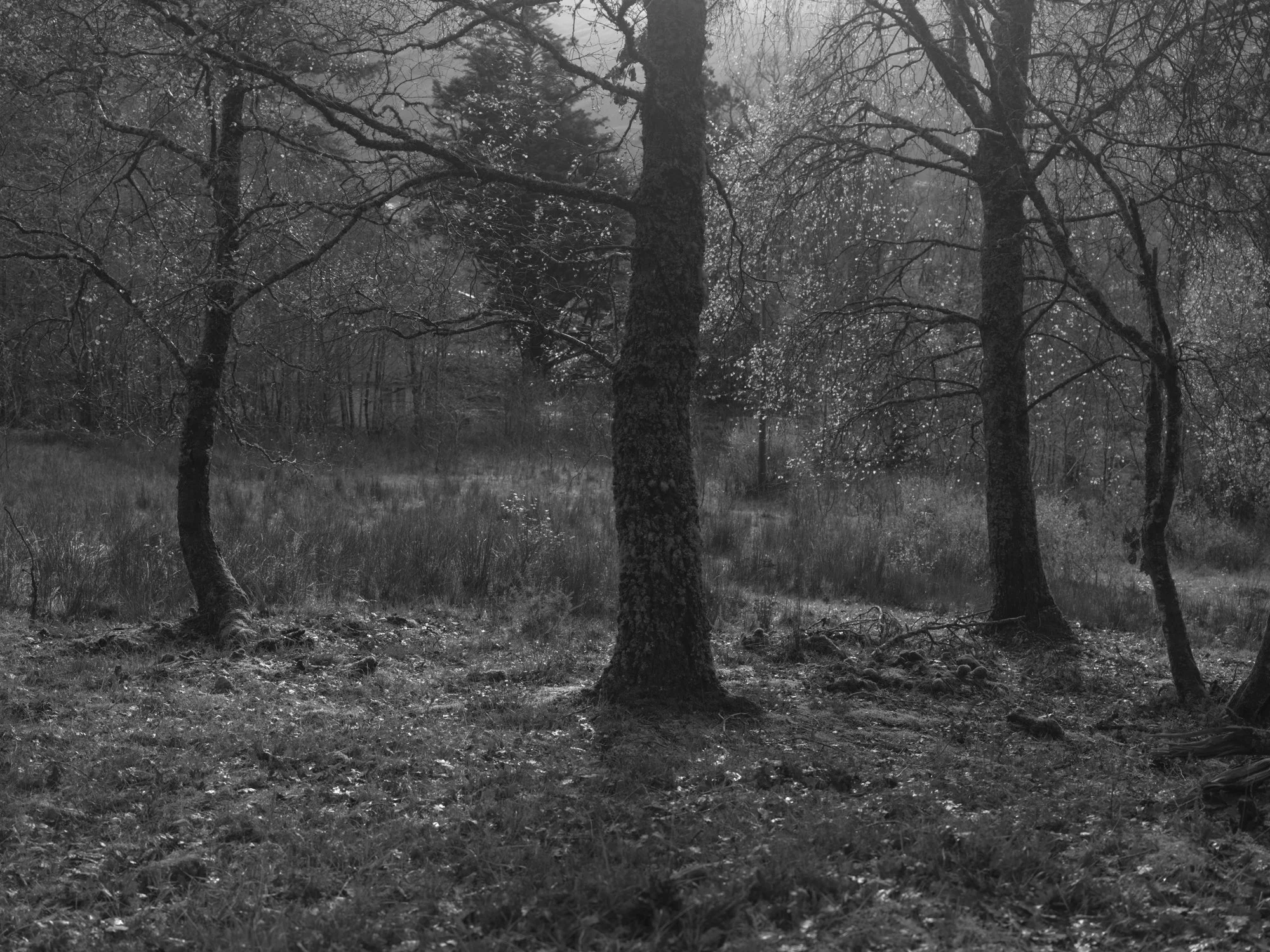 Paul Walsh - Knoydart Somewhere Nowhere-14.jpg