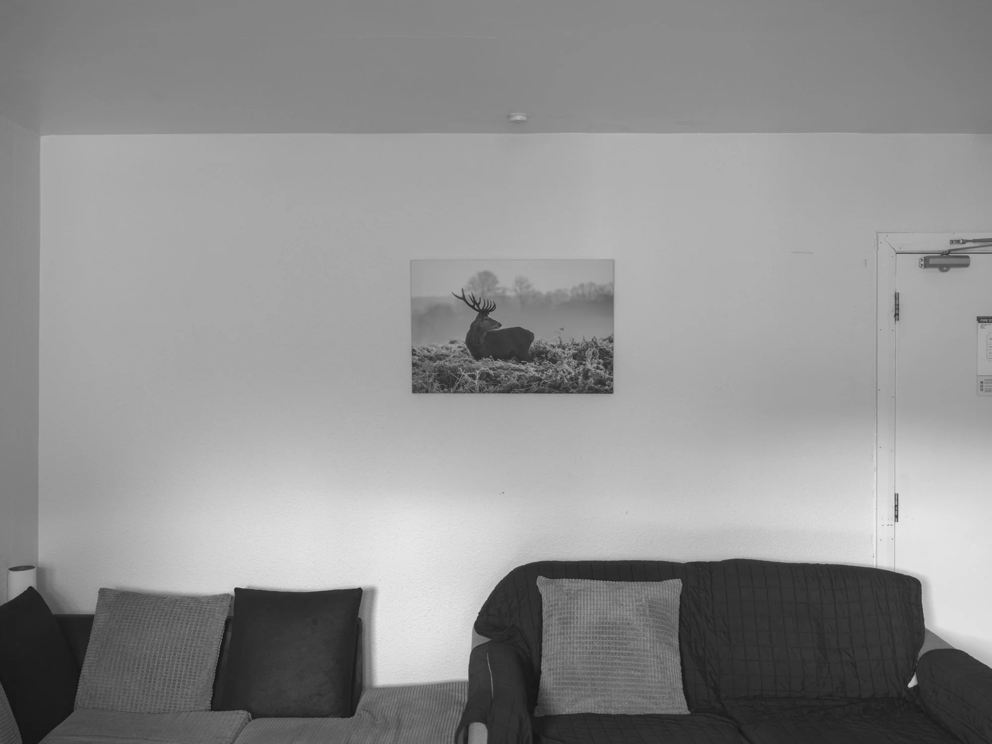 Paul Walsh - Knoydart Somewhere Nowhere-1.jpg