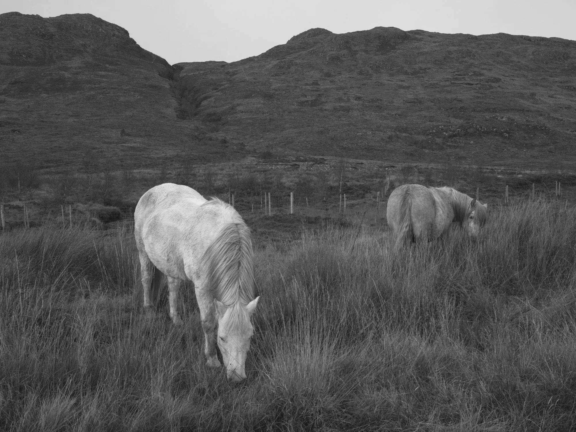Paul Walsh - Knoydart Somewhere Nowhere-12.jpg