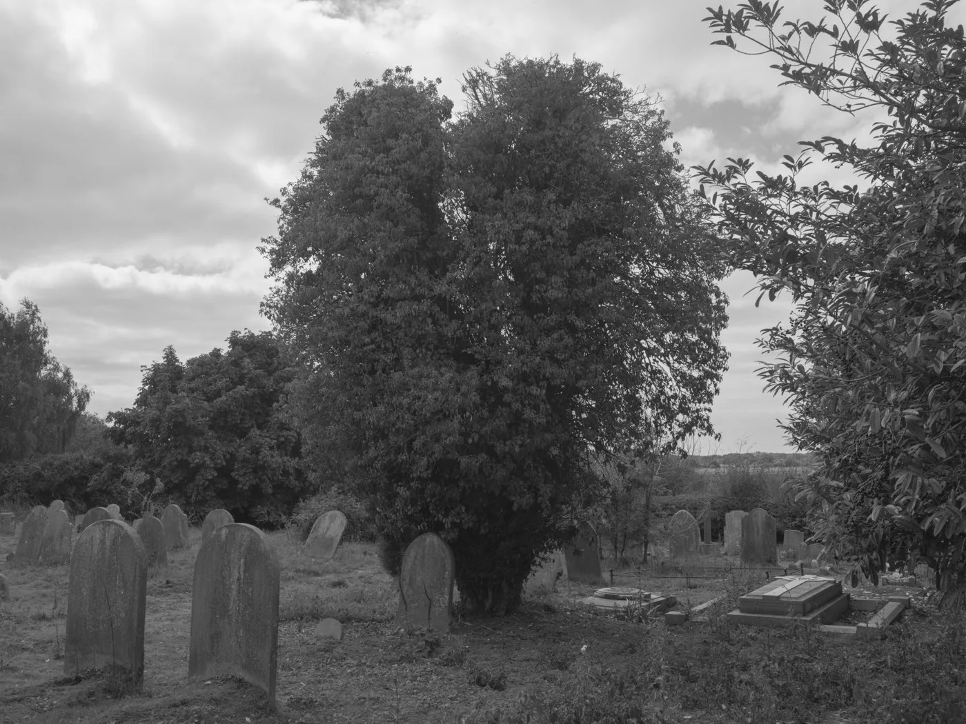 Paul Walsh - Prowl-13.jpg