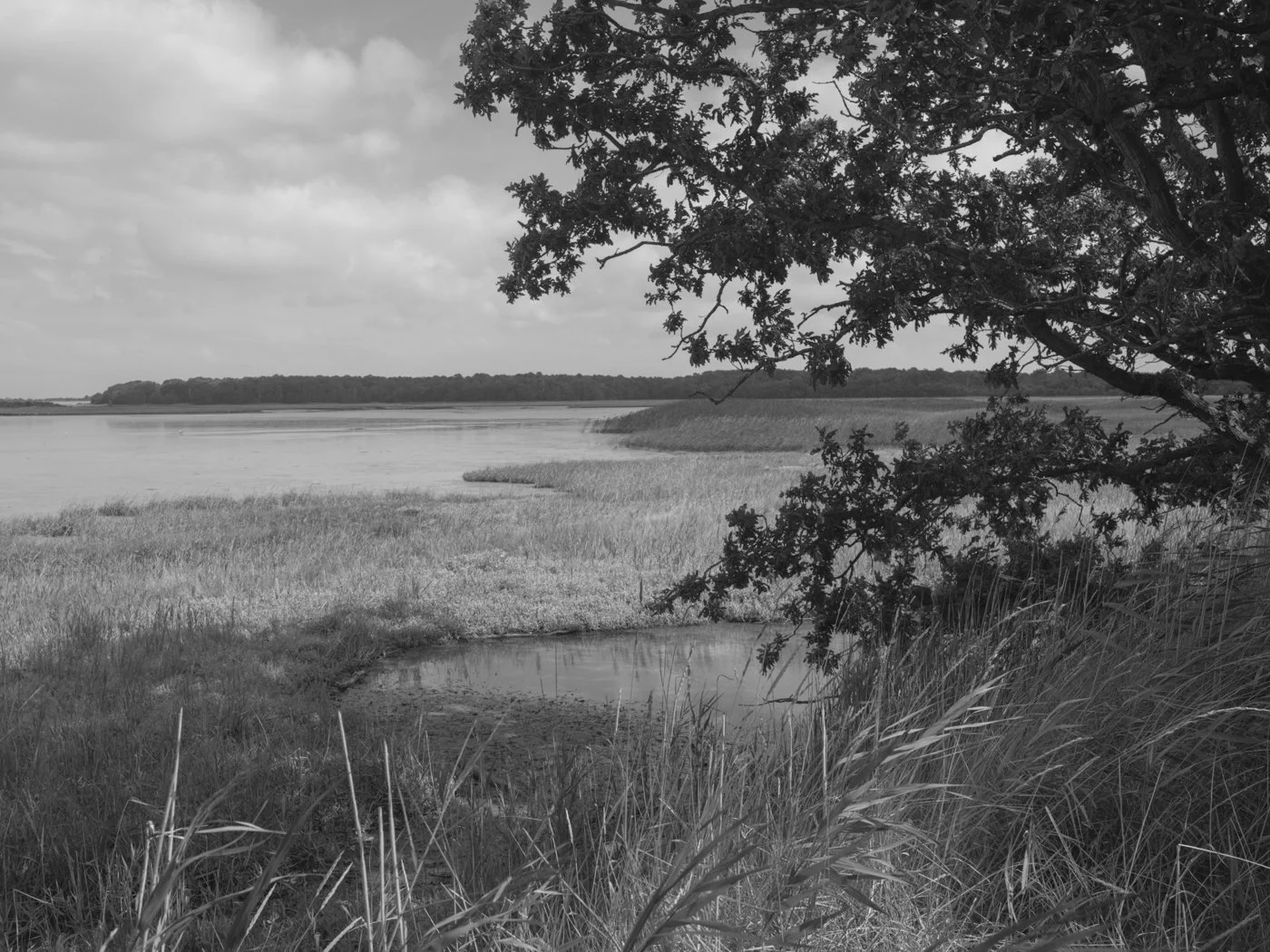 Paul Walsh - Prowl-16.jpg