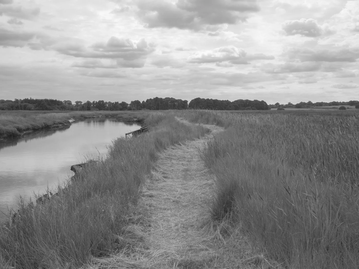 Paul Walsh - Prowl-6.jpg