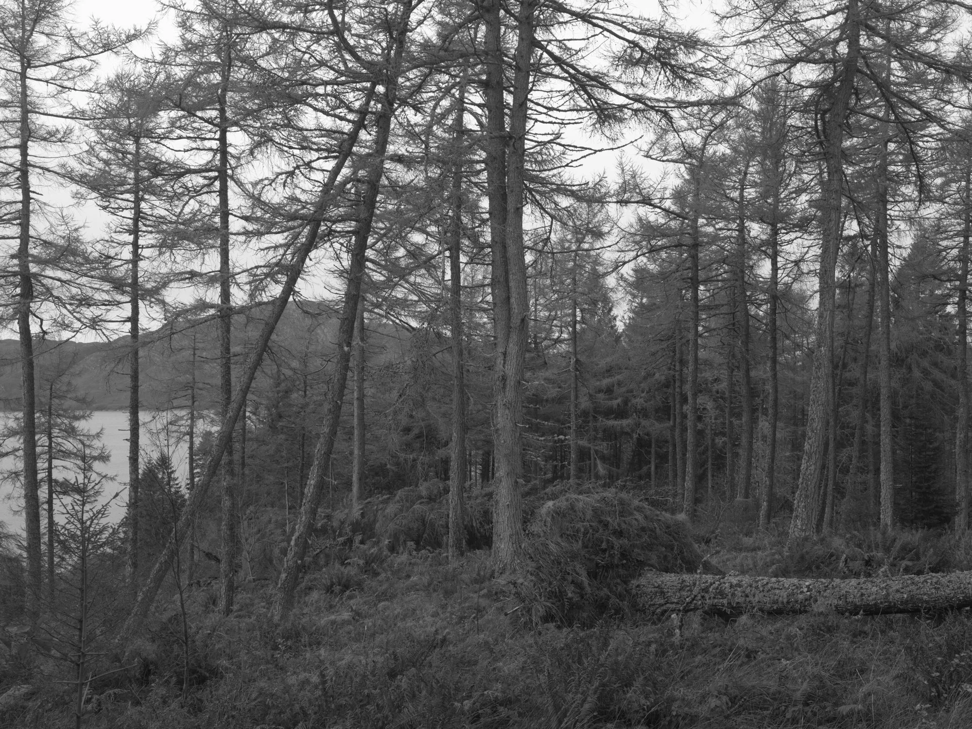 Paul Walsh - Knoydart Somewhere Nowhere-16.jpg